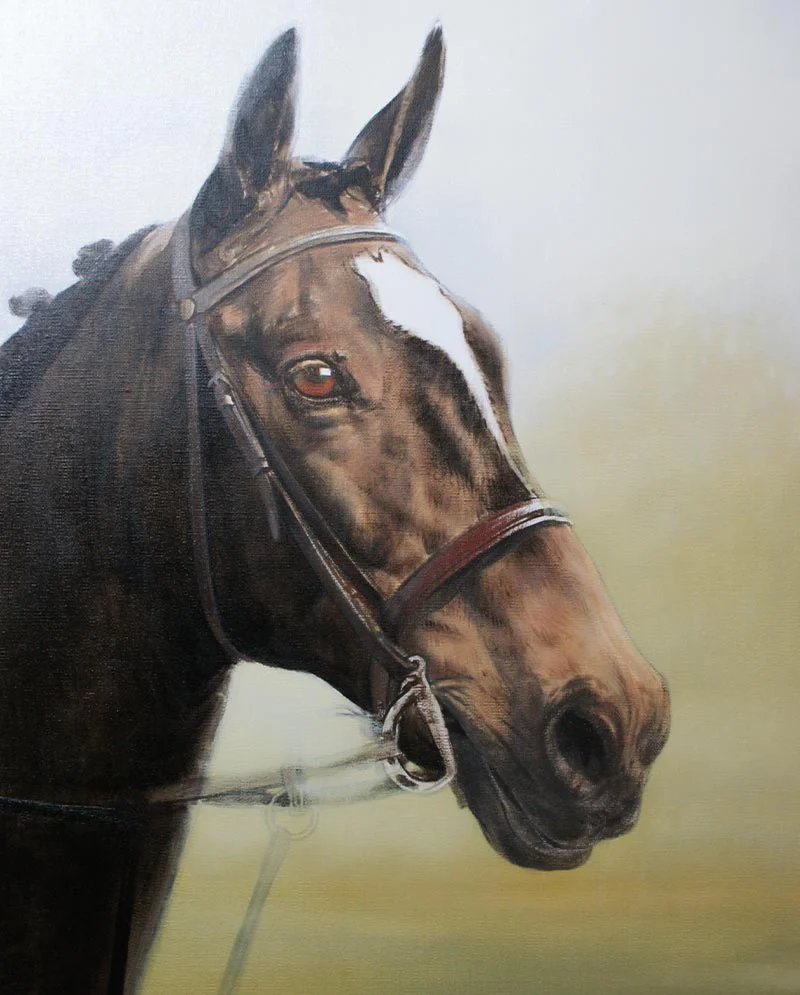 Work in Progress – Portrait of Horse in Oils Work in progress on the oil portrait of Ebony the horse.