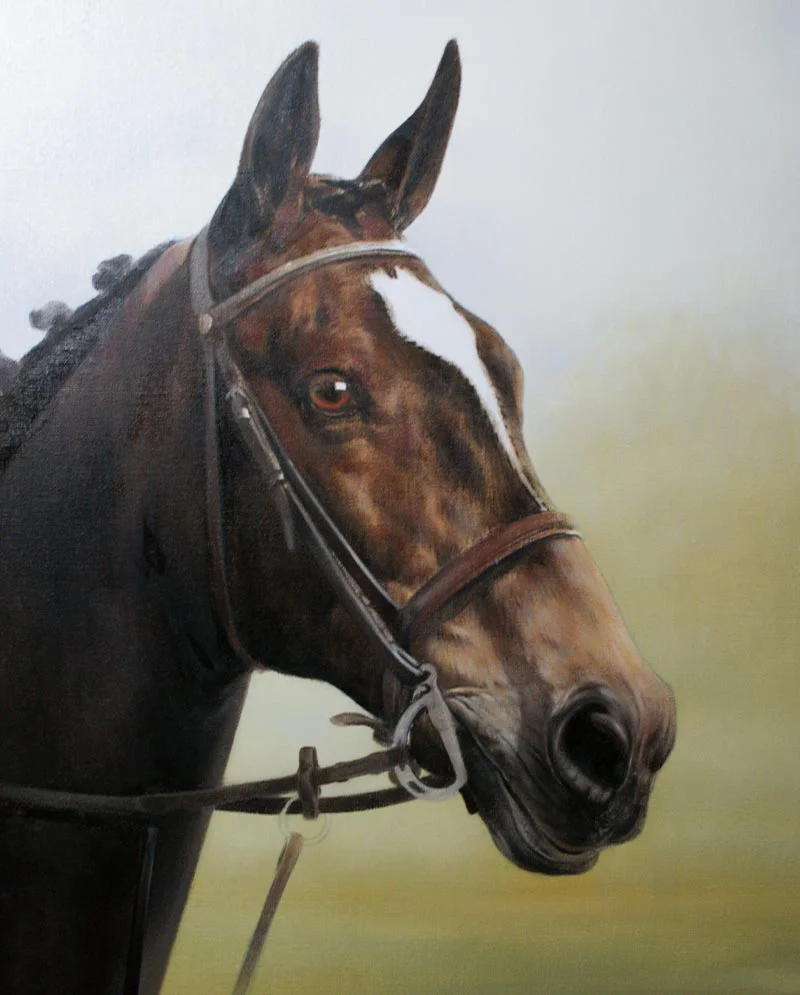Horse Portrait in Oils – Layer Development Horse portrait of Ebony in oils, showing layer development.