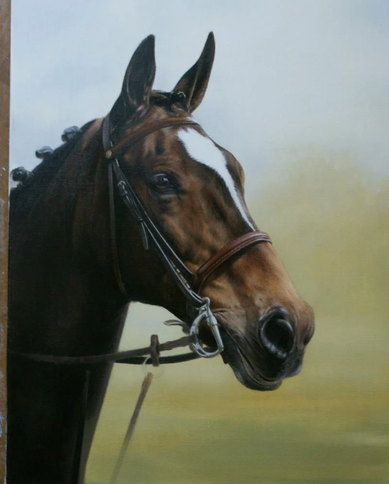 Portrait in Progress – Oil Painting of Horse Portrait in progress of Ebony, an oil painting of the horse.