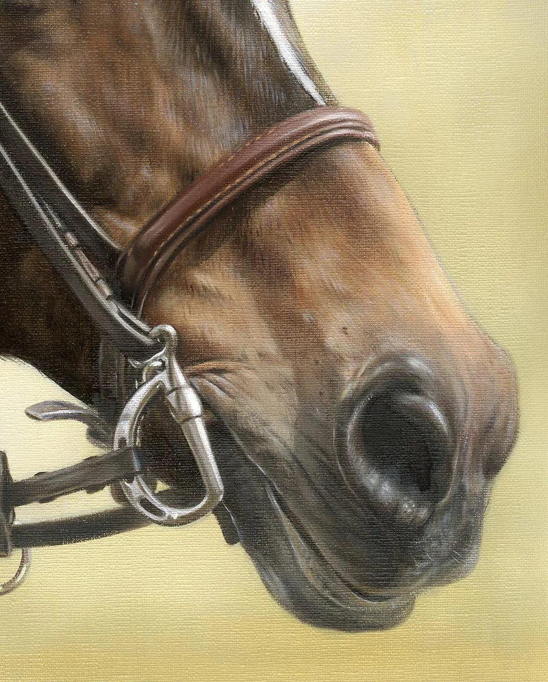 Detail of Horse Oil Painting Detail of the horse oil painting of Ebony, highlighting her features.