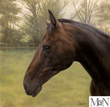 horse oil portraits