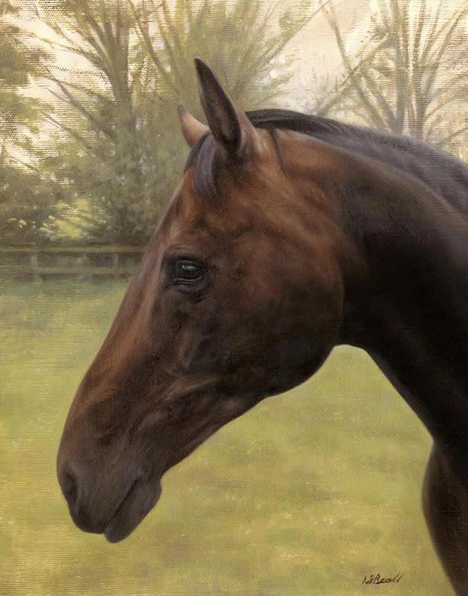 horse oil portraits