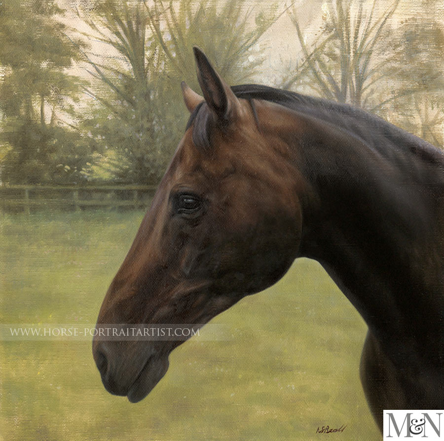 Horse Pet Paintings