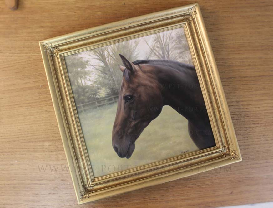 Horse Pet Paintings Framed