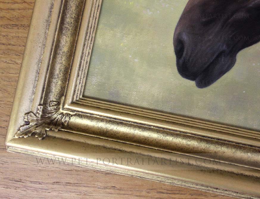 Horse Pet Paintings Framed Detail