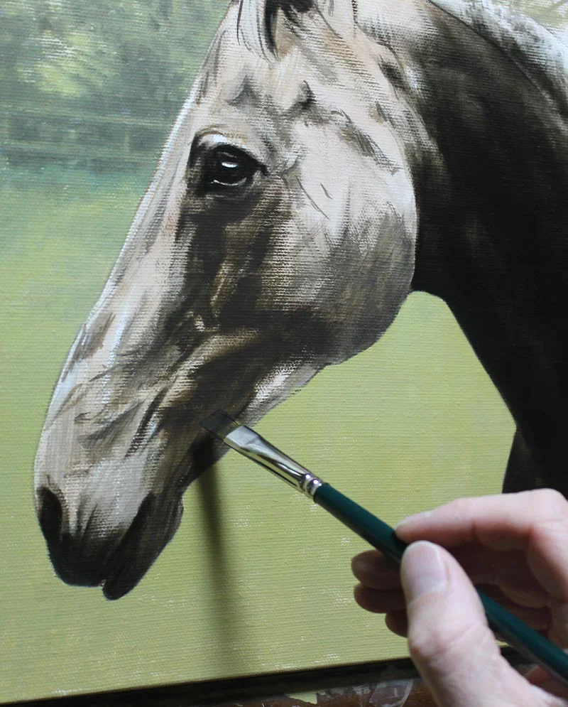Horse Portrait – Final Details Horse Portrait – Final Details