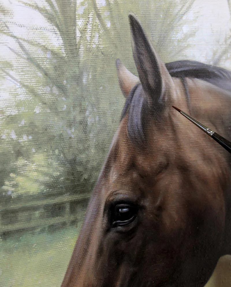 Close-Up of Horse Oil Portrait Close-Up of Horse Oil Portrait