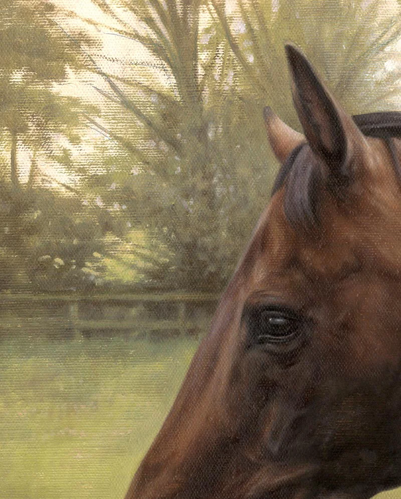 Detail Brushwork – Horse Portrait in Oils Detail Brushwork – Horse Portrait in Oils