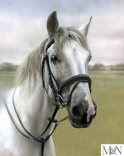 horse pet portrait