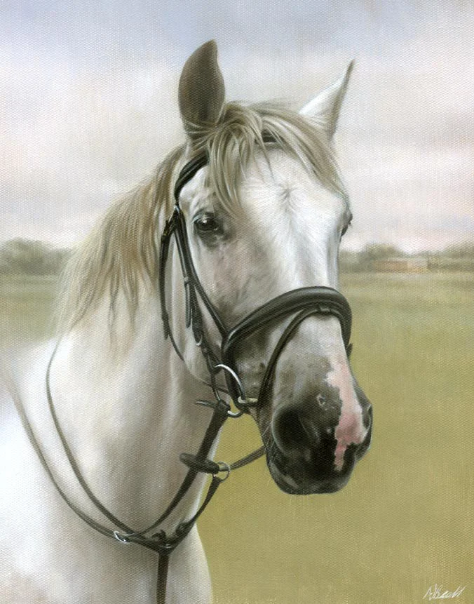 Radley the horse, oil pet portrait by Nicholas Beall