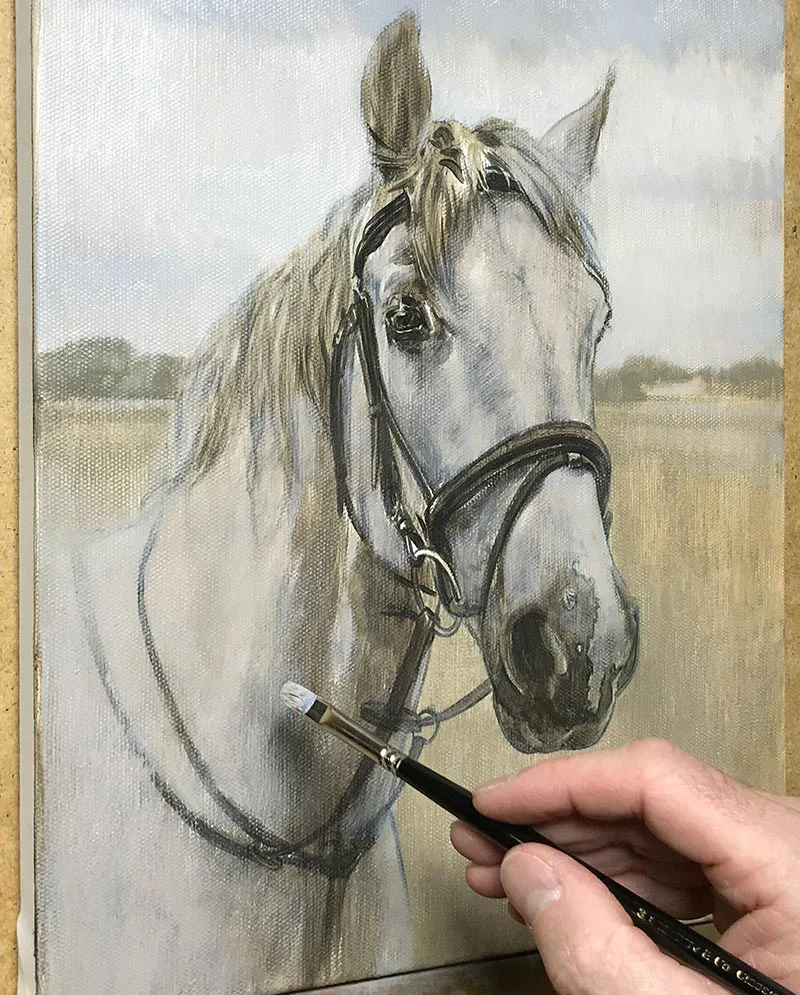 Equine Portrait – Underpainting Equine portrait of Radley showing the underpainting stage.
