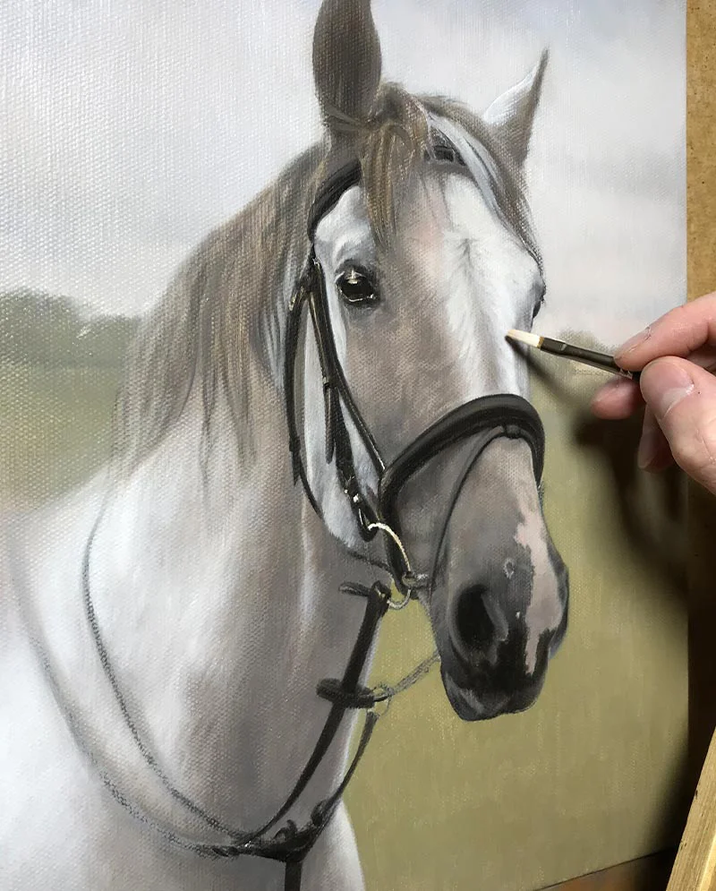In Progress Horse Oil Painting In progress horse oil painting of Radley.