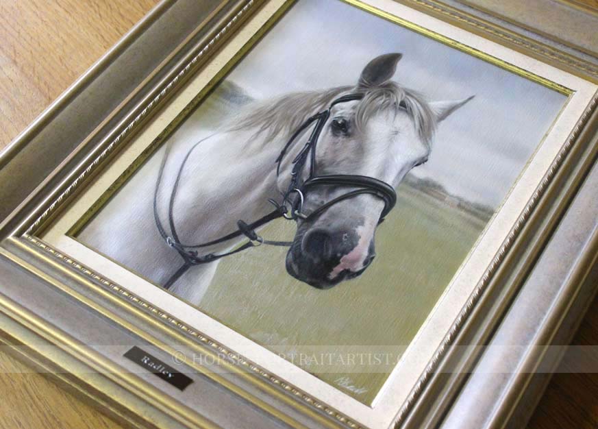 Horse Pet Portraits Framed