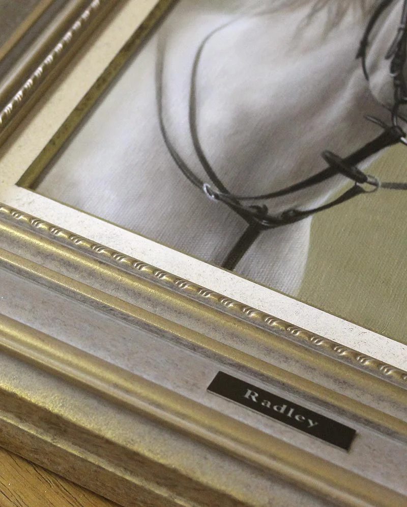 Horse Oil Painting Framed and Ready to Display Horse oil painting of Radley, framed and ready to display.
