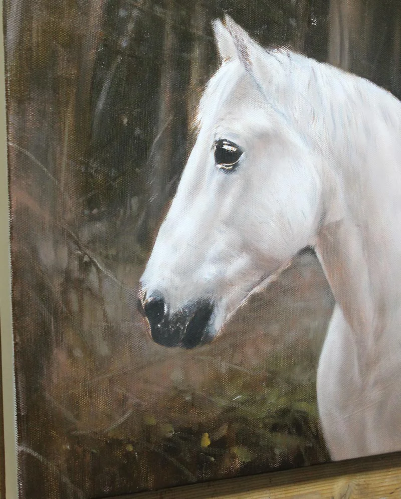 Detail of Horse Portrait in Oils