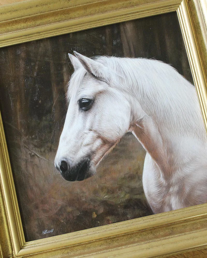 Framed Horse Portrait in Oils