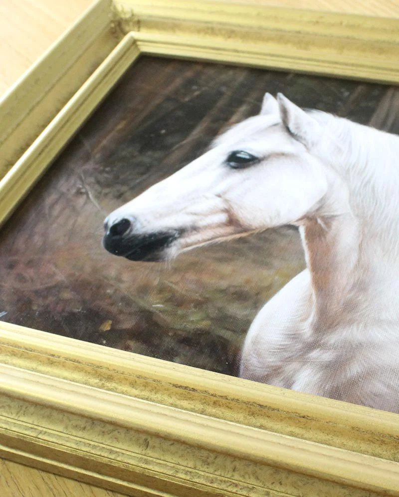 Equine Oil Painting Framed and Displayed