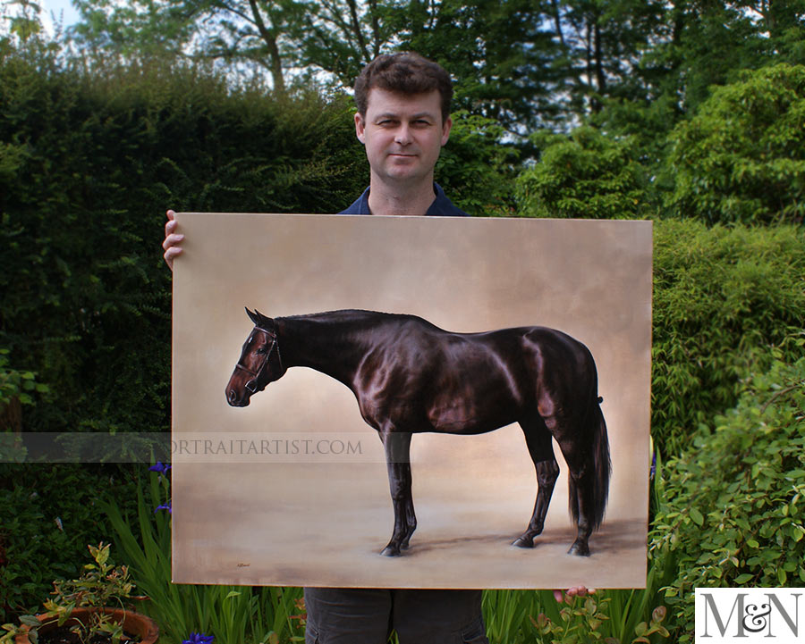 Full Body Horse Portraits With Nicholas Beall