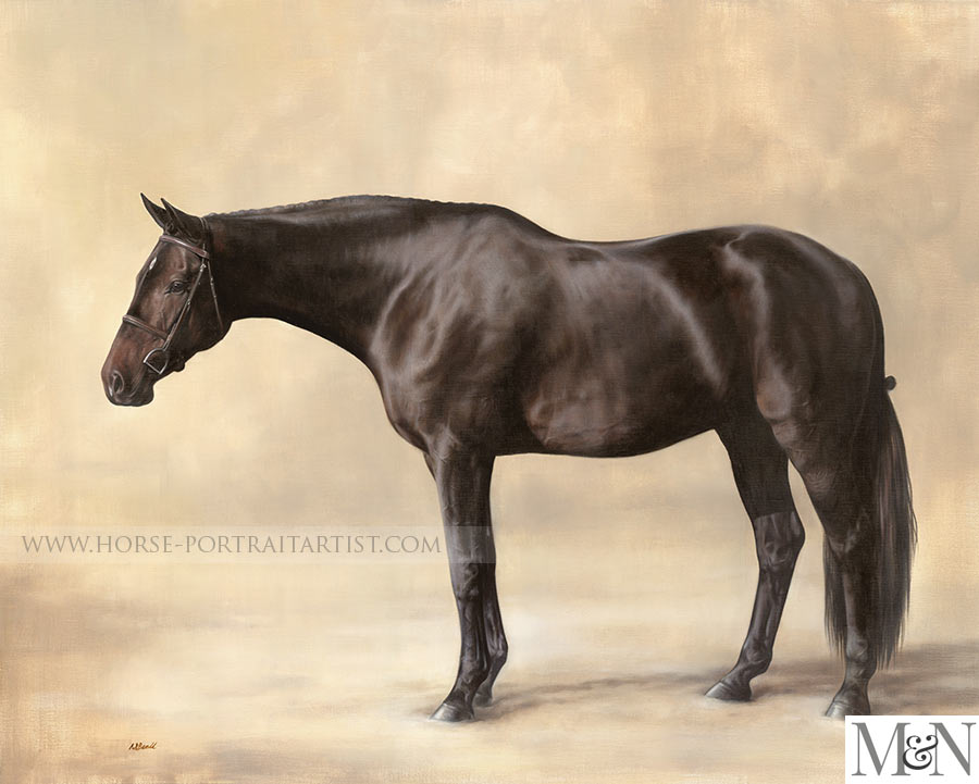 Full Body Horse Portraits