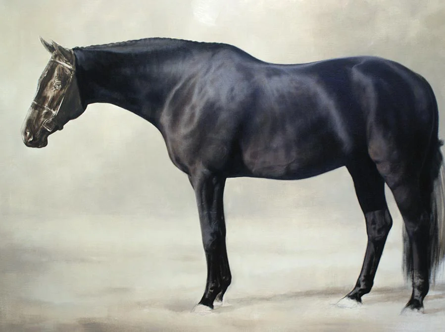 Oil Painting of Horse – Midway Progress Oil painting of Lockhart the horse, showing midway progress with developing features.