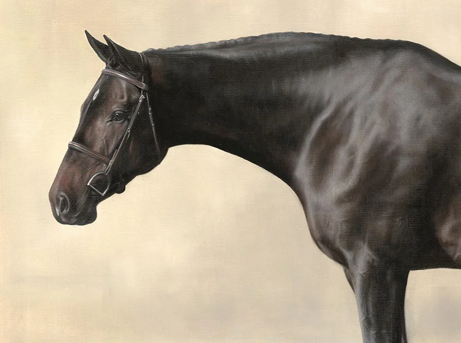 Final Horse Portrait – Coat and Muscle Detail Final horse portrait of Lockhart, showing coat and muscle detail.