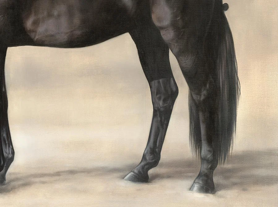 Horse Portrait in Oils – Close-Up of Texture Horse portrait of Lockhart in oils, with a close-up of texture and brushwork.