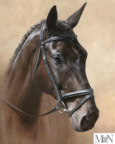 horse portrait oils
