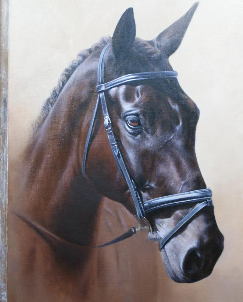 Brushwork Detail – Equine Portrait Brushwork detail of Harry's equine portrait, showing oil painting technique.