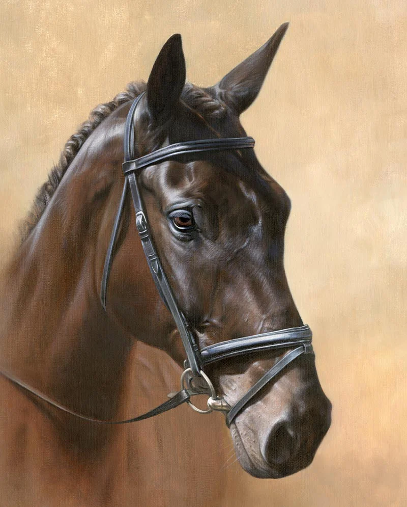 Final Horse Portrait Detail in Oils Final horse portrait of Harry in oils, showing finished details.