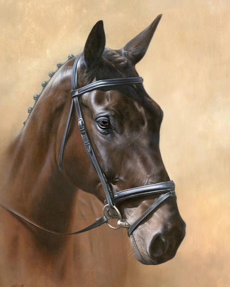 Equine Portrait Detail – Brushwork in Oils Equine portrait detail of Harry, showcasing brushwork in oils.