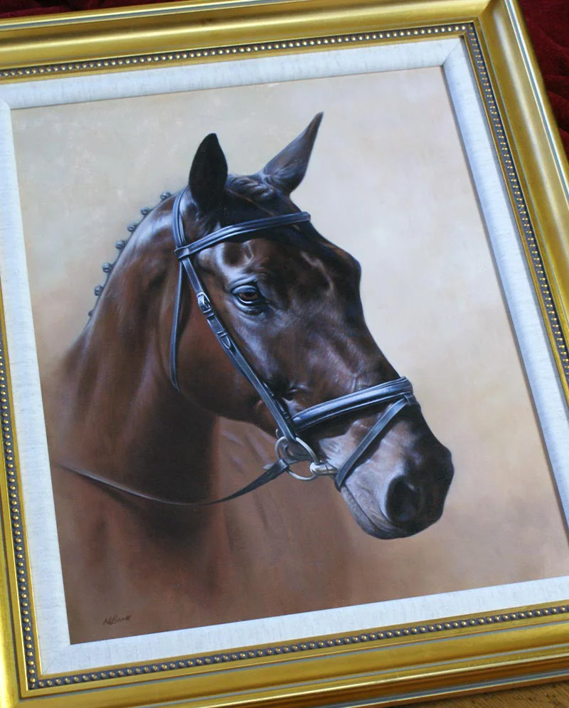 Framed Horse Portrait in Oils Framed horse portrait of Harry in oils, ready for display.