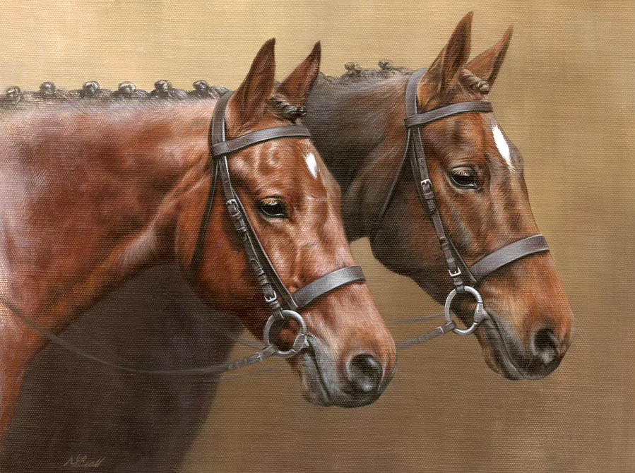horse portrait oil