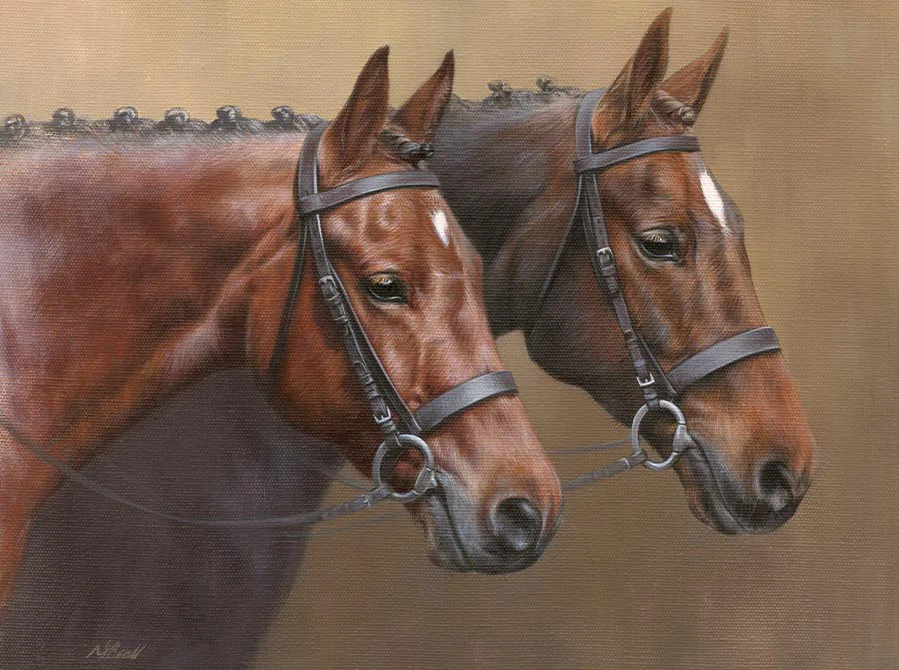 Reference Photo for Double Horse Portrait Reference photo of Jubilee and Trinity for their oil portrait.