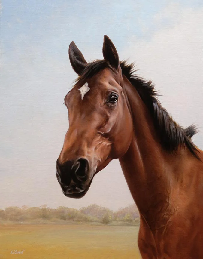 Tilly, horse oil portrait by Nick Beall