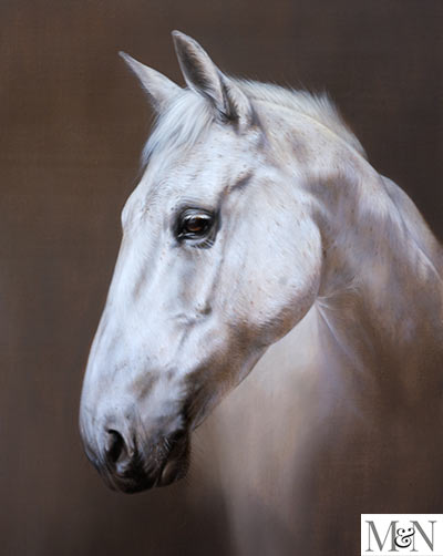 horse portrait in oils