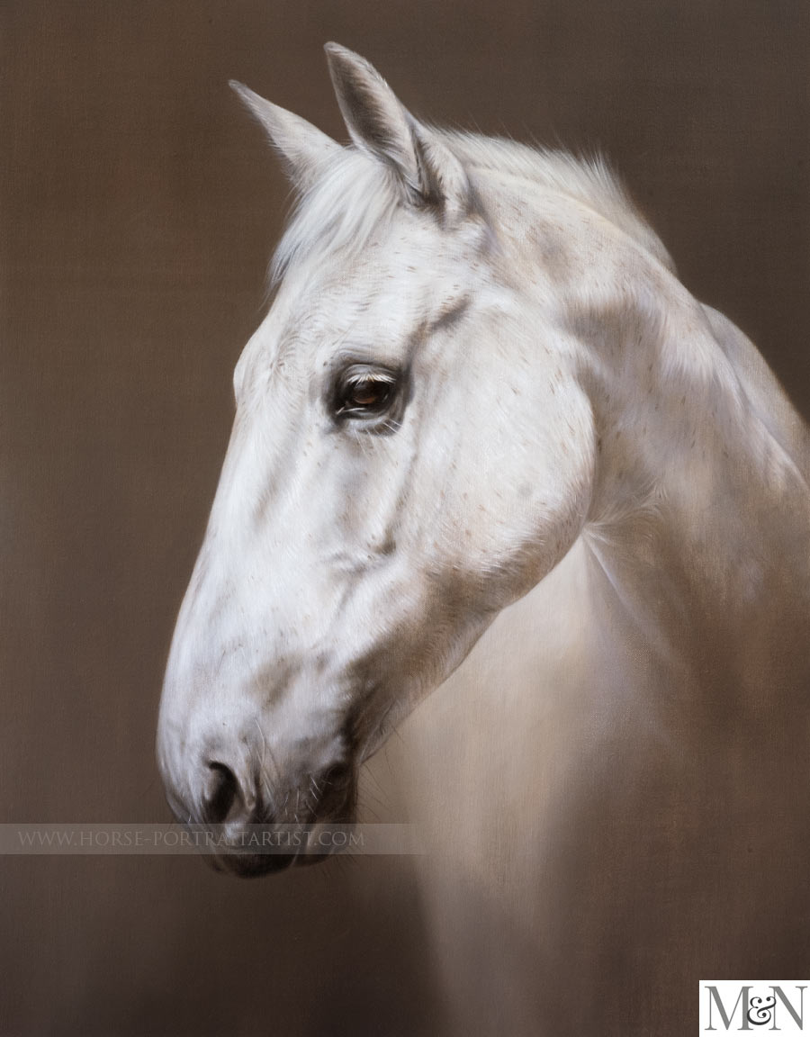Horse Portraits in Oils