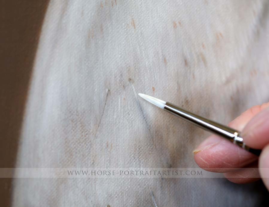 Horse Portraits in Detail
