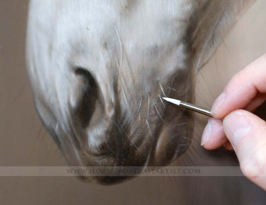 Horse Portraits in Detail