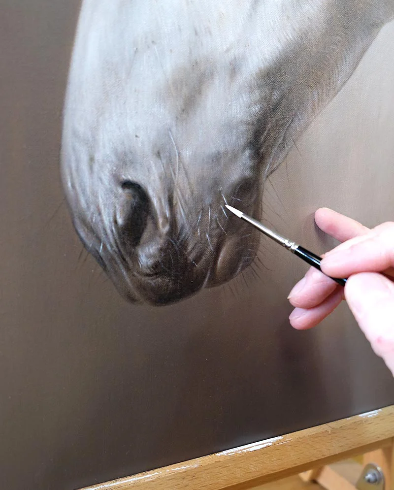 Horse Portrait of Elly - Nearly Complete Horse portrait of Elly, nearly complete, showing fine details.