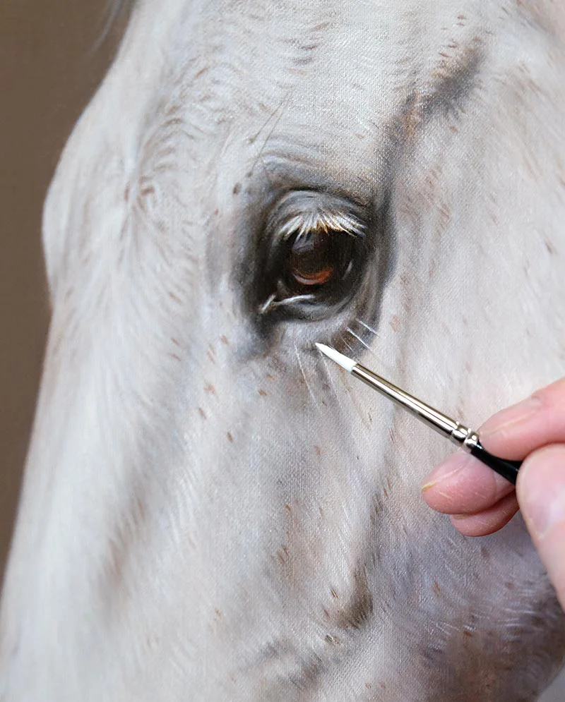 Horse Portrait of Elly - Final Adjustments Horse portrait of Elly, undergoing final adjustments.