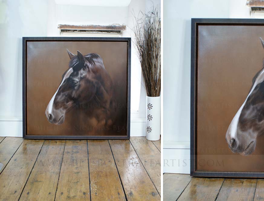 Framed horse portraits