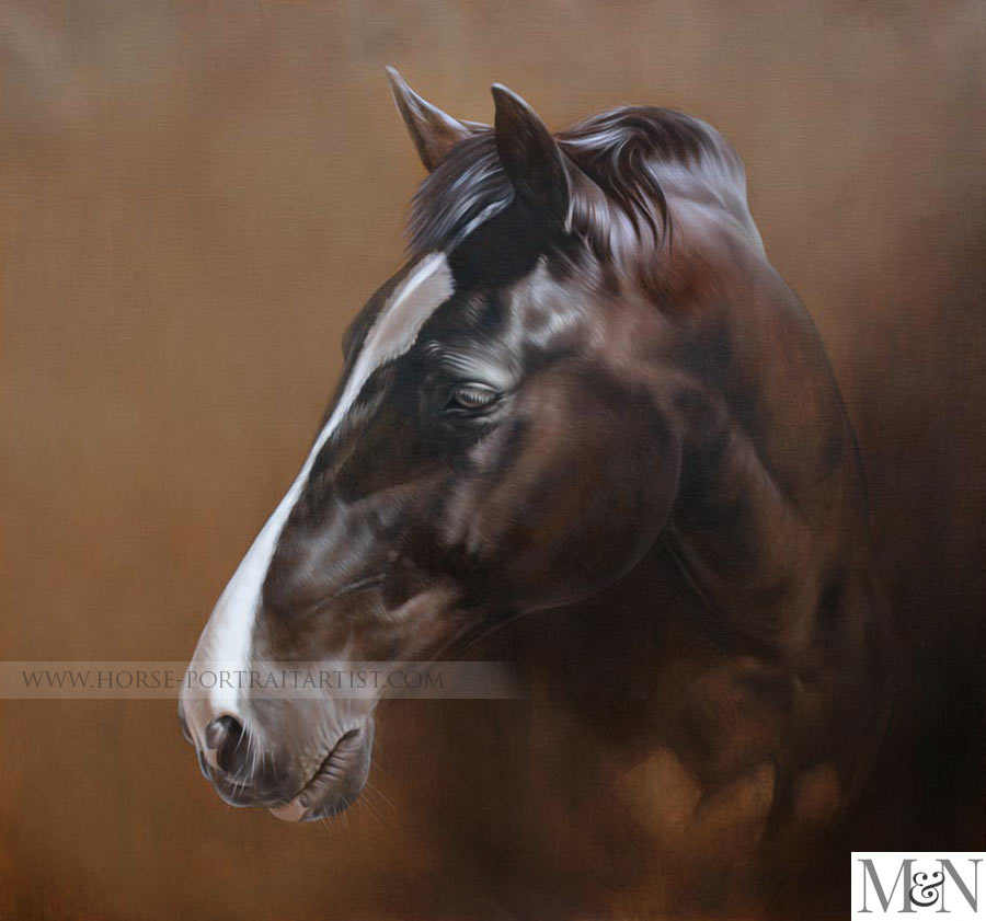 Horse Portraits in Oils on Canvas