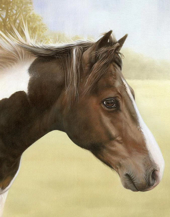 horse oil portraits