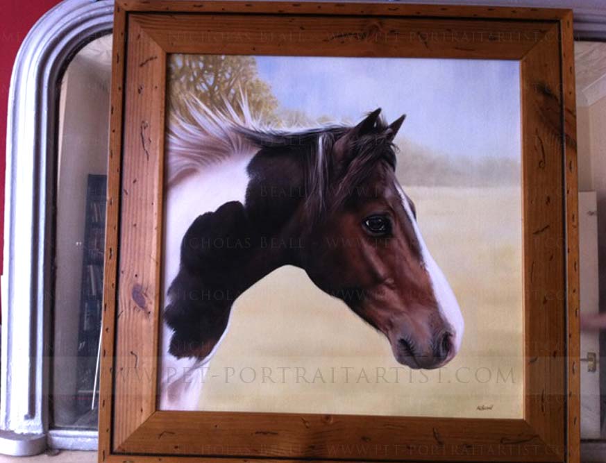 Happy Client testimonial of horse portraits