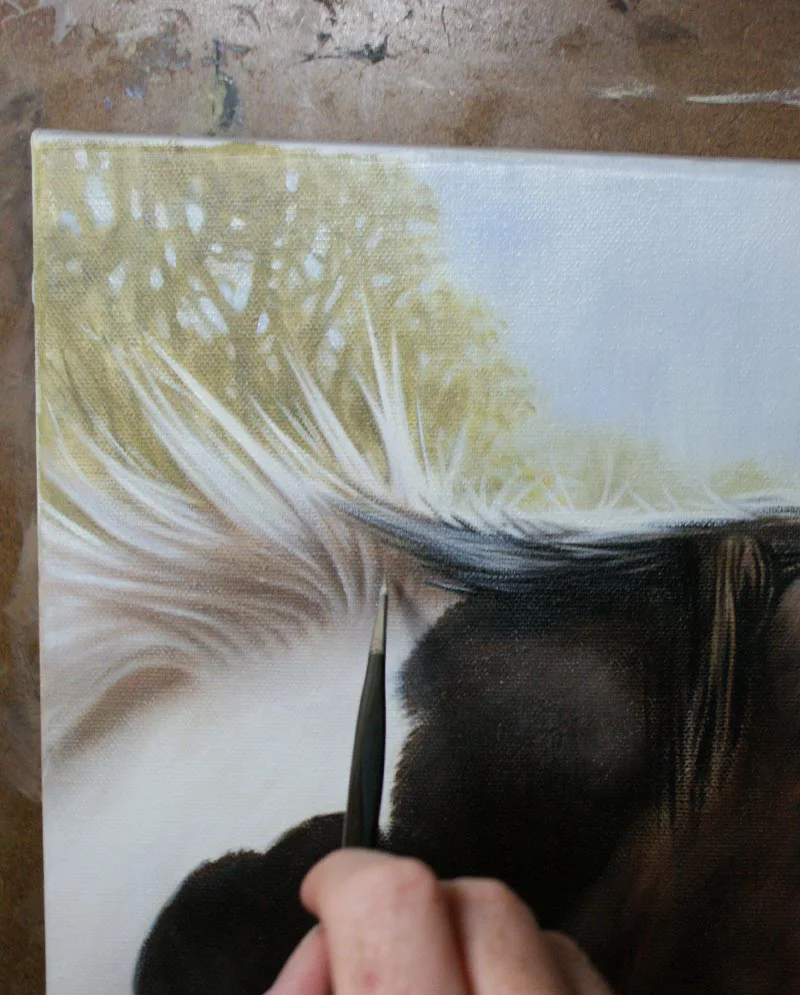 Horse Portrait in Oils – Initial Stages Horse portrait in oils showing the initial stages of painting.