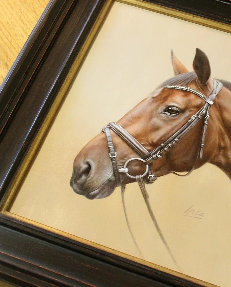 Framed Horse Portrait of Inca Framed horse portrait of Shannondale Inca displayed.