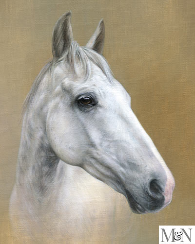 pet portraits horse