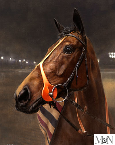 racehorse pet portraits