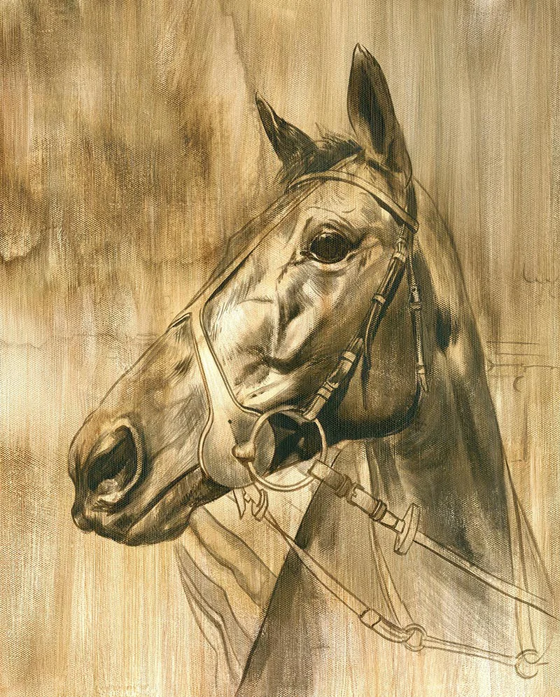 Initial Sketch of Race Horse Portrait, setting the scene Initial sketch and composition layout for the race horse portrait of Amosite