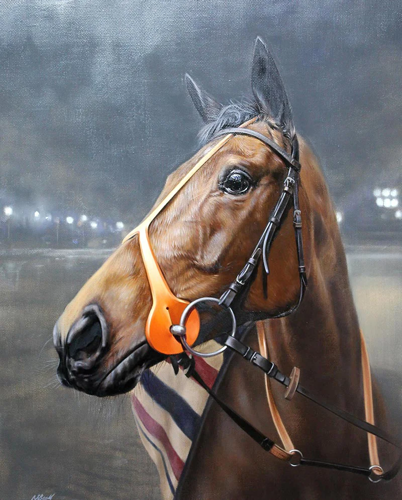 Race Horse Oil Painting Completed, ready for framing Completed oil painting of the race horse Amosite, a finished masterpiece
